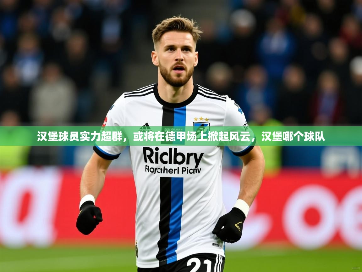 2025开云体育入口邀请码汉堡球员实力超群，或将在德甲场上掀起风云，汉堡哪个球队  第2张