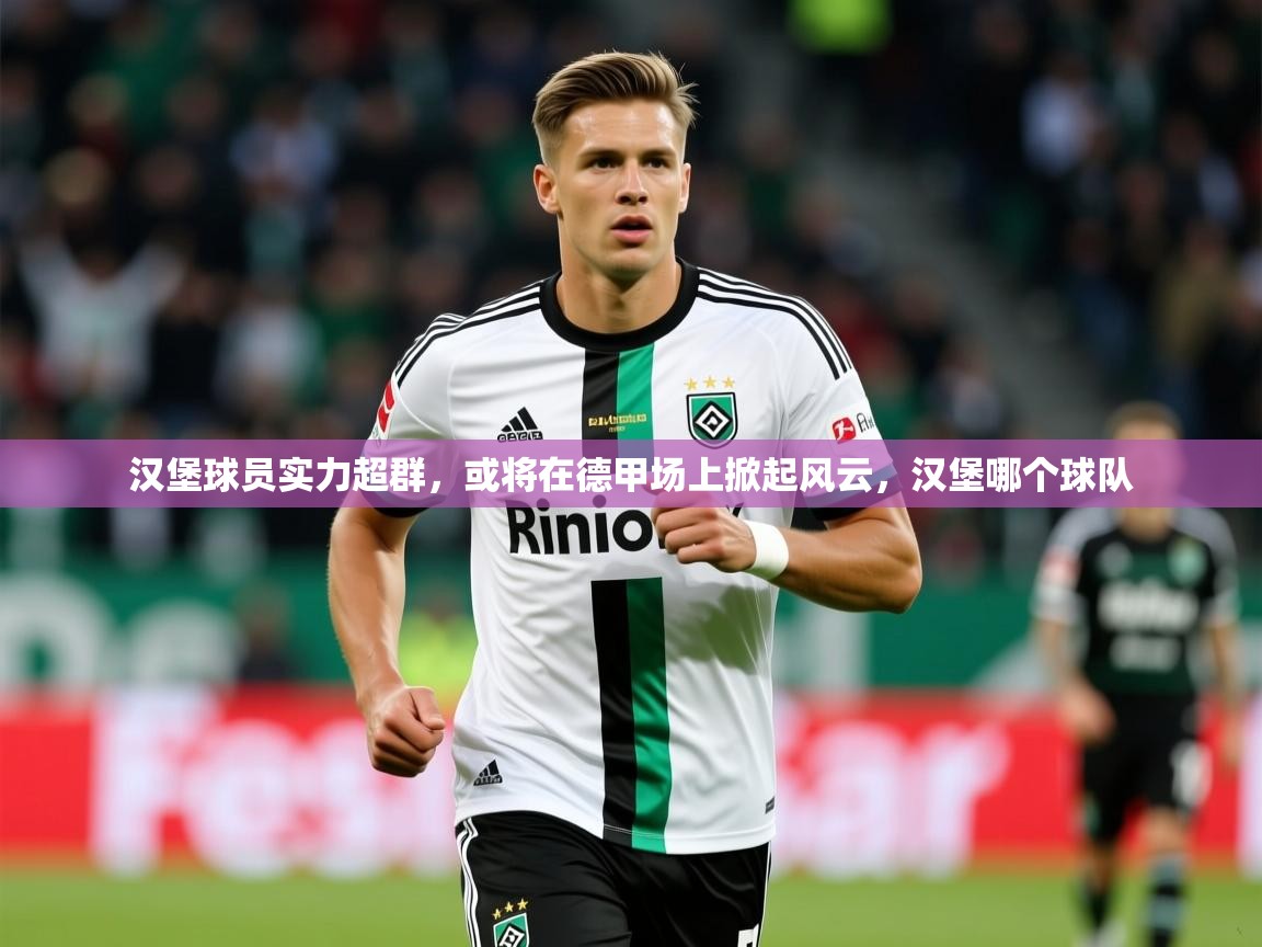 2025开云体育入口邀请码汉堡球员实力超群，或将在德甲场上掀起风云，汉堡哪个球队  第4张