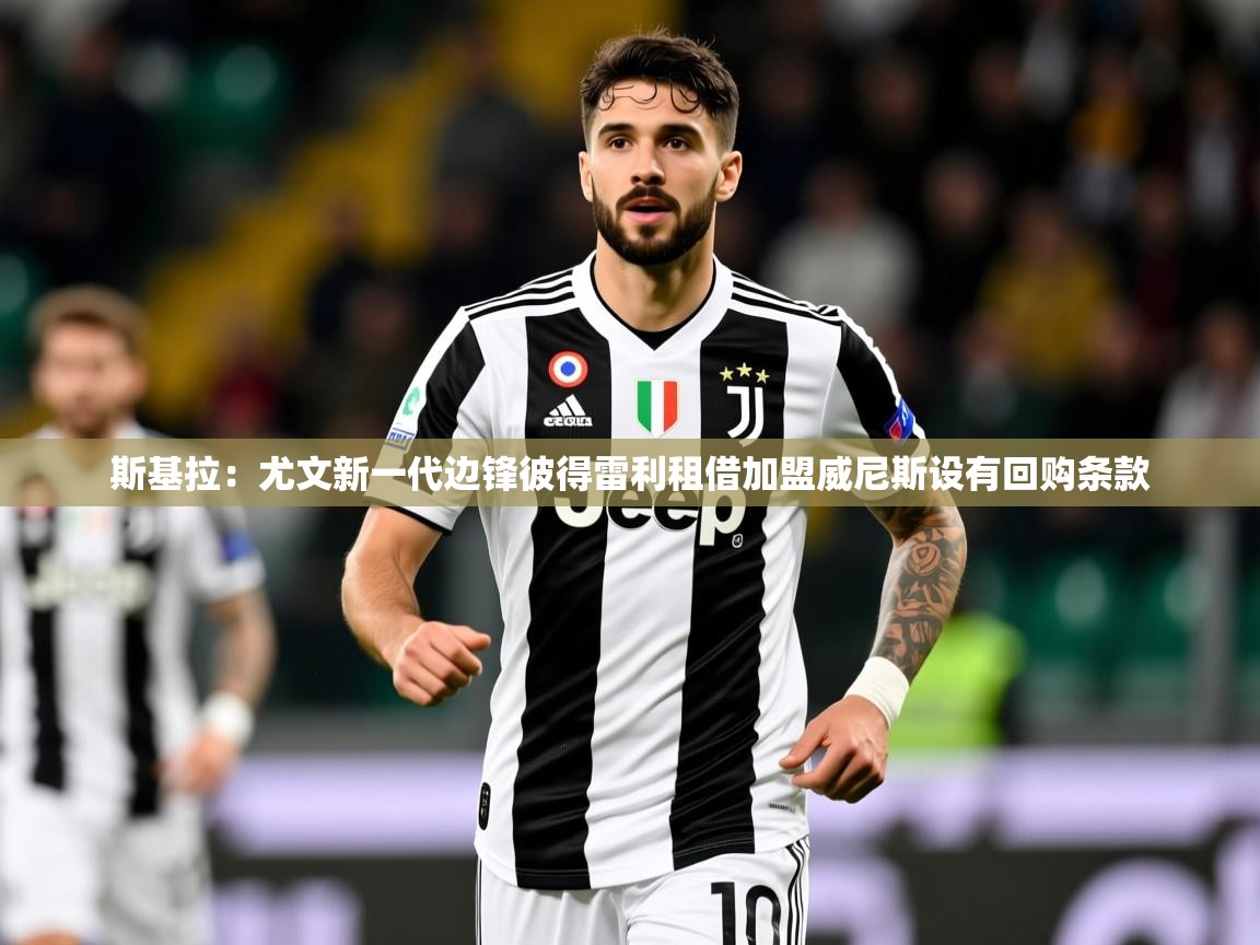 2025开云体育官网斯基拉：尤文新一代边锋彼得雷利租借加盟威尼斯设有回购条款  第2张