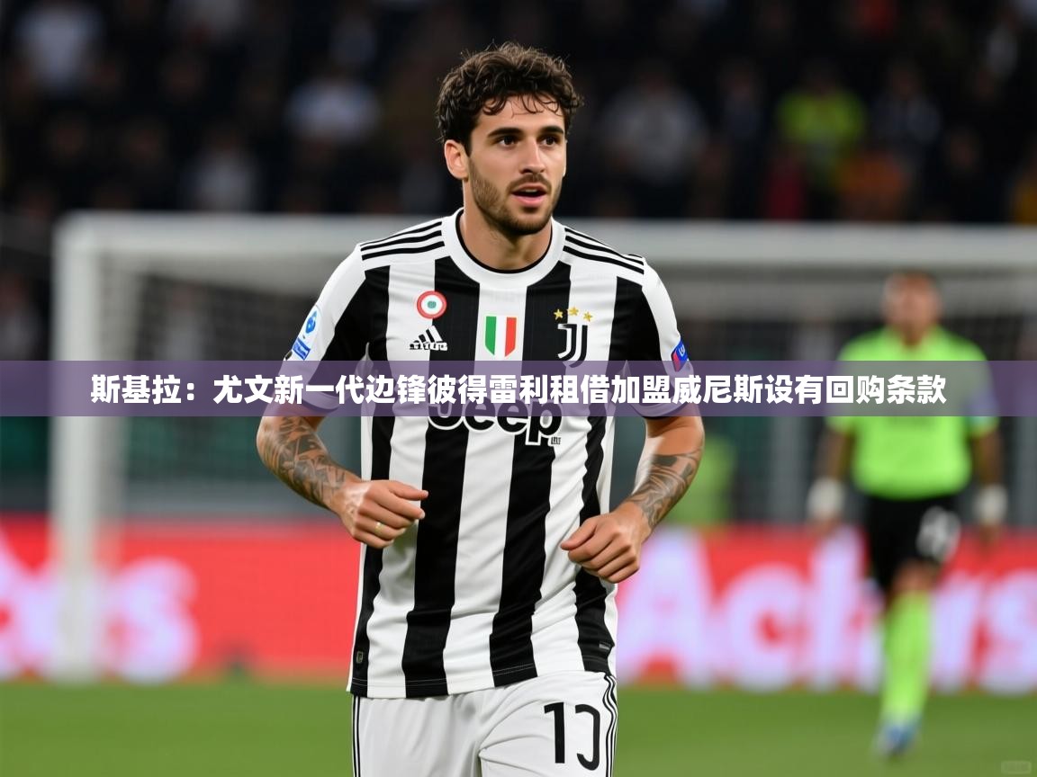 2025开云体育官网斯基拉：尤文新一代边锋彼得雷利租借加盟威尼斯设有回购条款  第4张