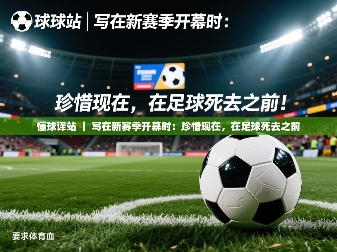 2025开云体育官网下载懂球译站 | 写在新赛季开幕时:珍惜现在,在足球死去之前 第4张