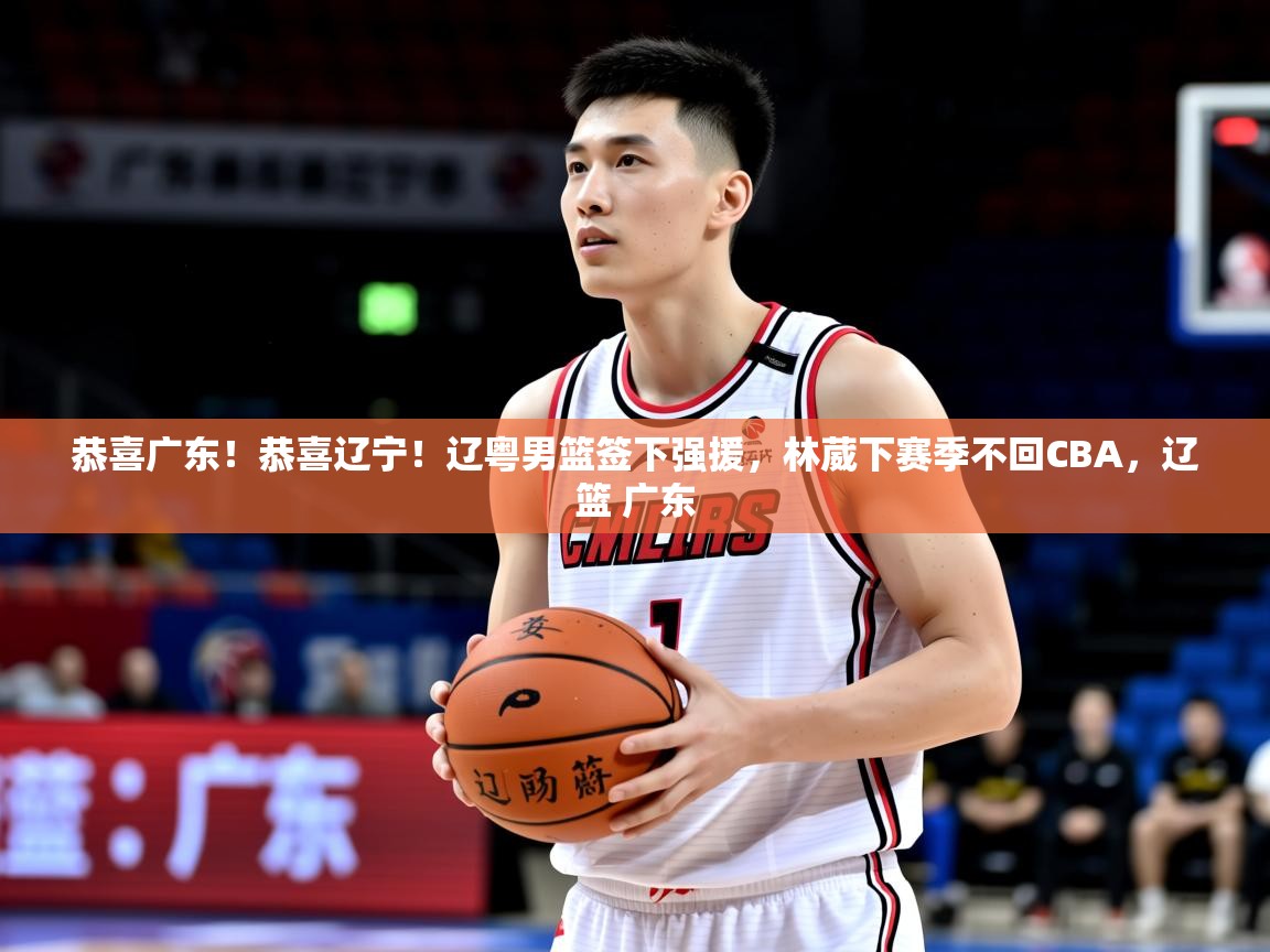 2025kaiyun体育在线官网登录入口恭喜广东!恭喜辽宁!辽粤男篮签下强援,林葳下赛季不回CBA,辽篮 广东 第2张