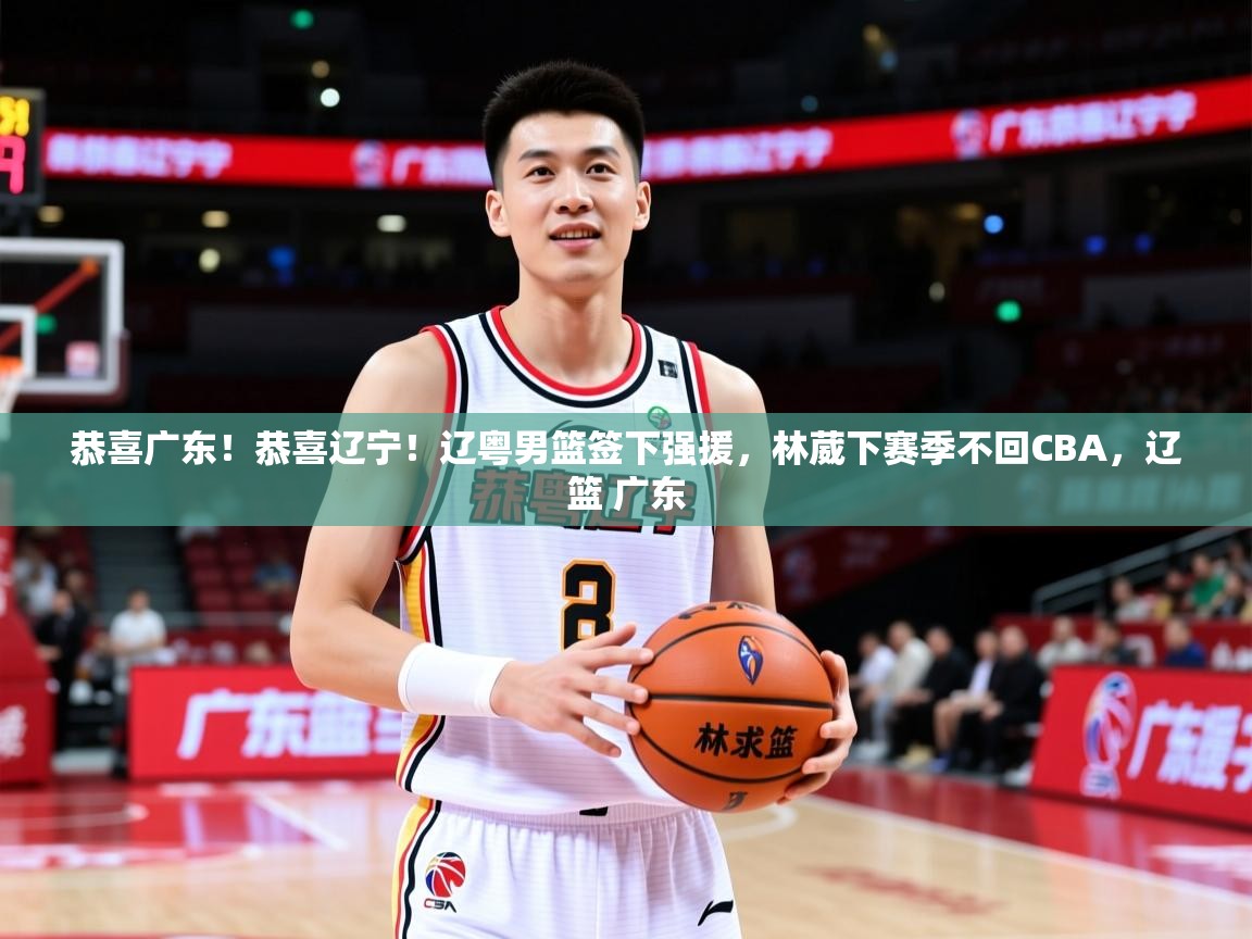 2025kaiyun体育在线官网登录入口恭喜广东!恭喜辽宁!辽粤男篮签下强援,林葳下赛季不回CBA,辽篮 广东 第4张