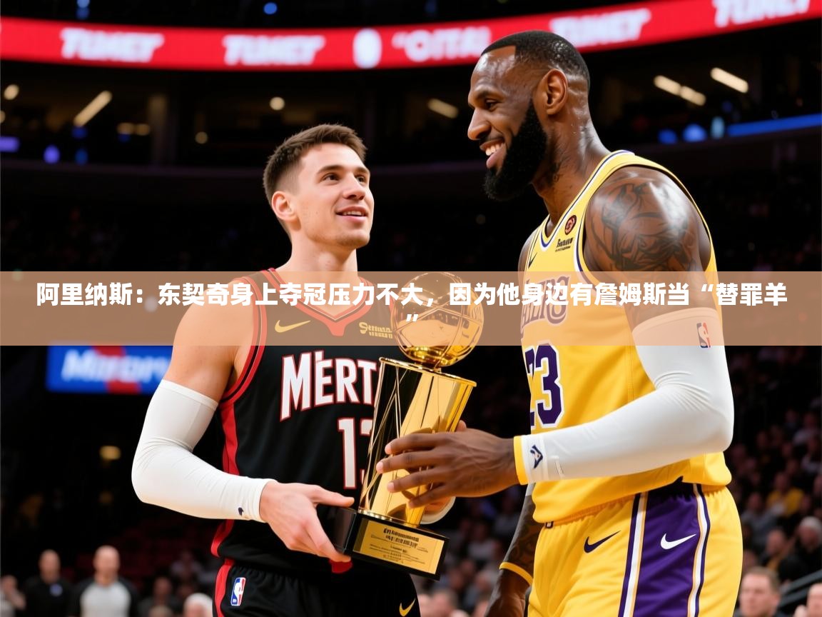 2025开云体育app网页版入口阿里纳斯:东契奇身上夺冠压力不大,因为他身边有詹姆斯当“替罪羊” 第3张