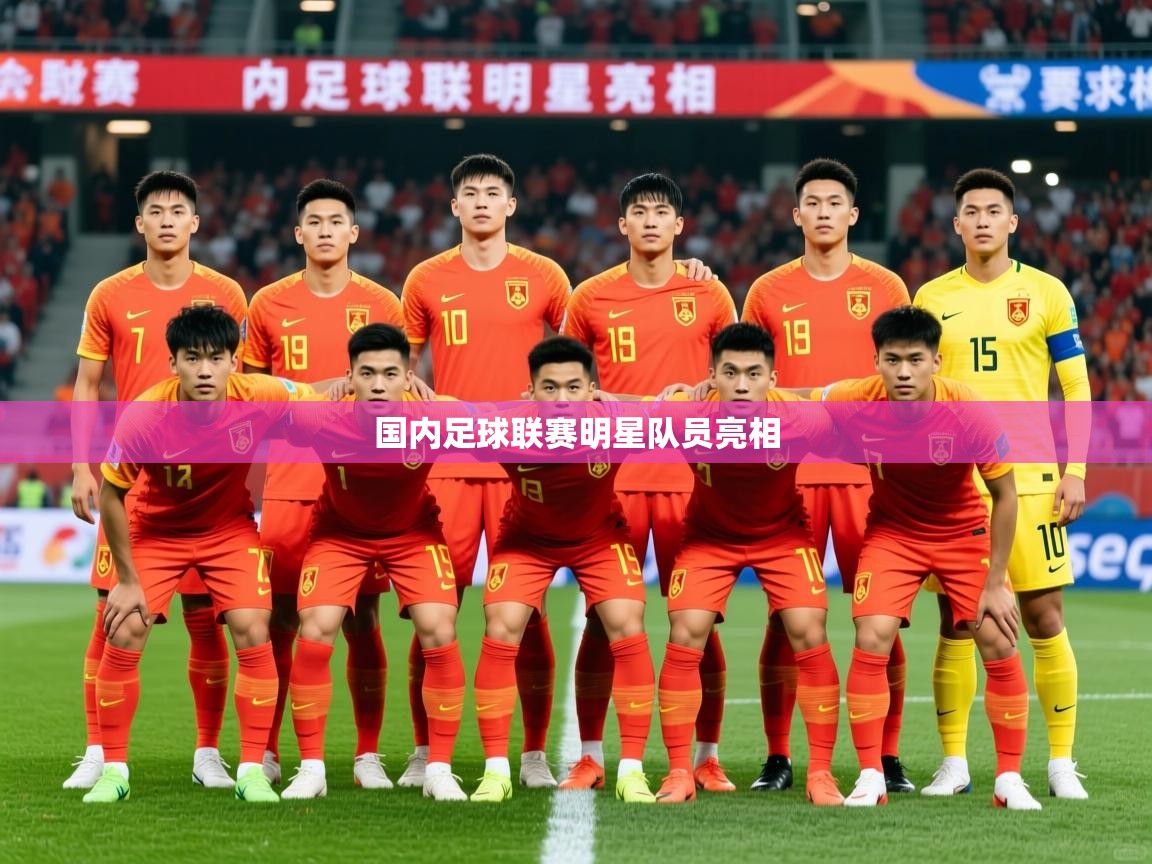 2026开云体育登入口国内足球联赛明星队员亮相  第3张