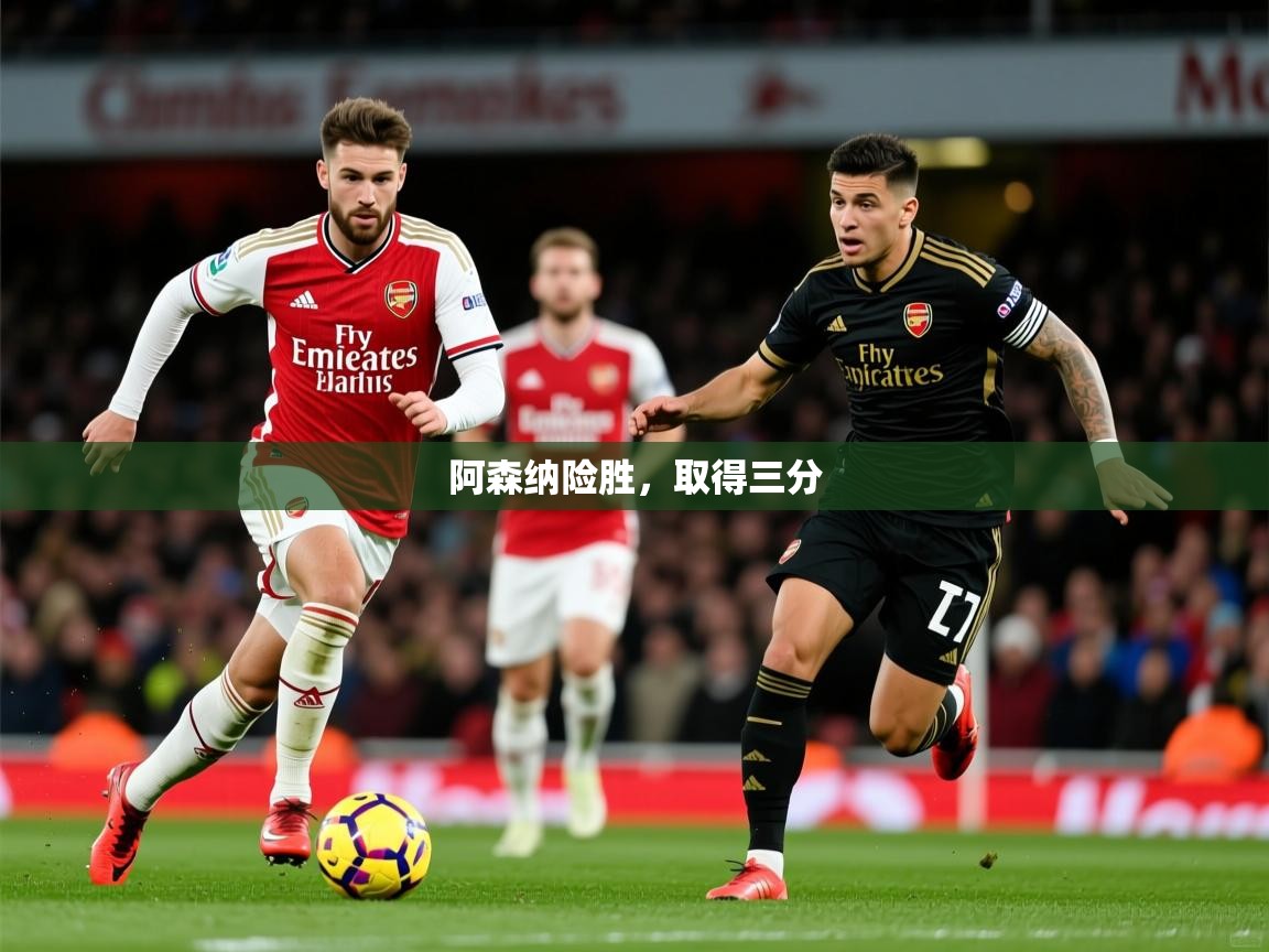 2026开云体育app入口下载官网阿森纳险胜,取得三分 第3张