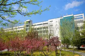 青岛黄海状态回暖，期待取得胜利