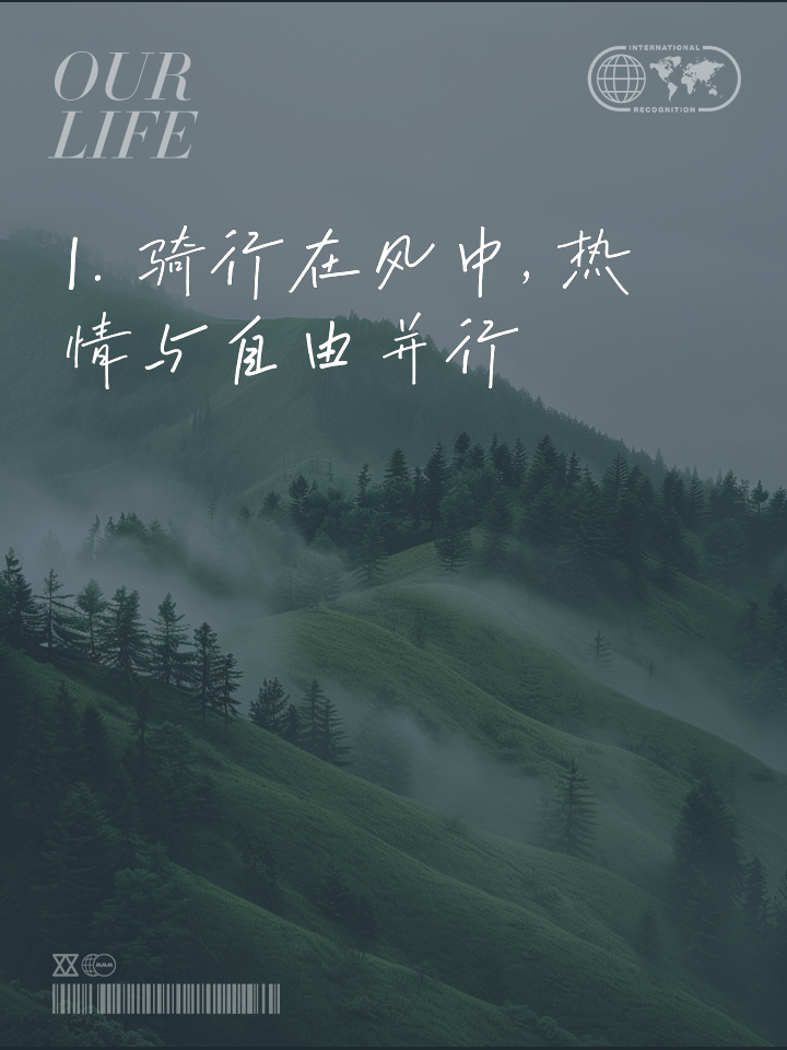 关于布里斯班热情拥抱胜利，前进之路平步青云的信息